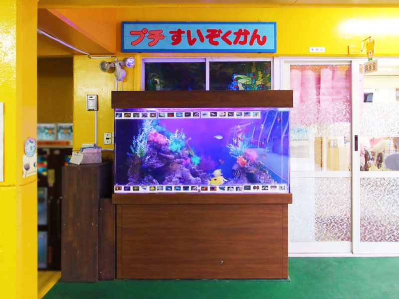 プチすいぞくかんの看板と海水魚が泳ぐ大型水槽