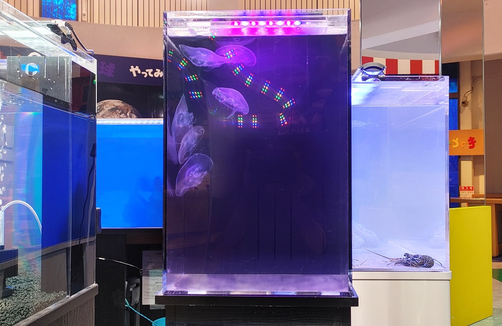 紫の照明に照らされたクラゲが泳ぐ縦長の水槽