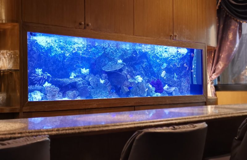 店舗様 埋め込み式 240cm海水魚水槽 メンテナンス事例 水槽画像1