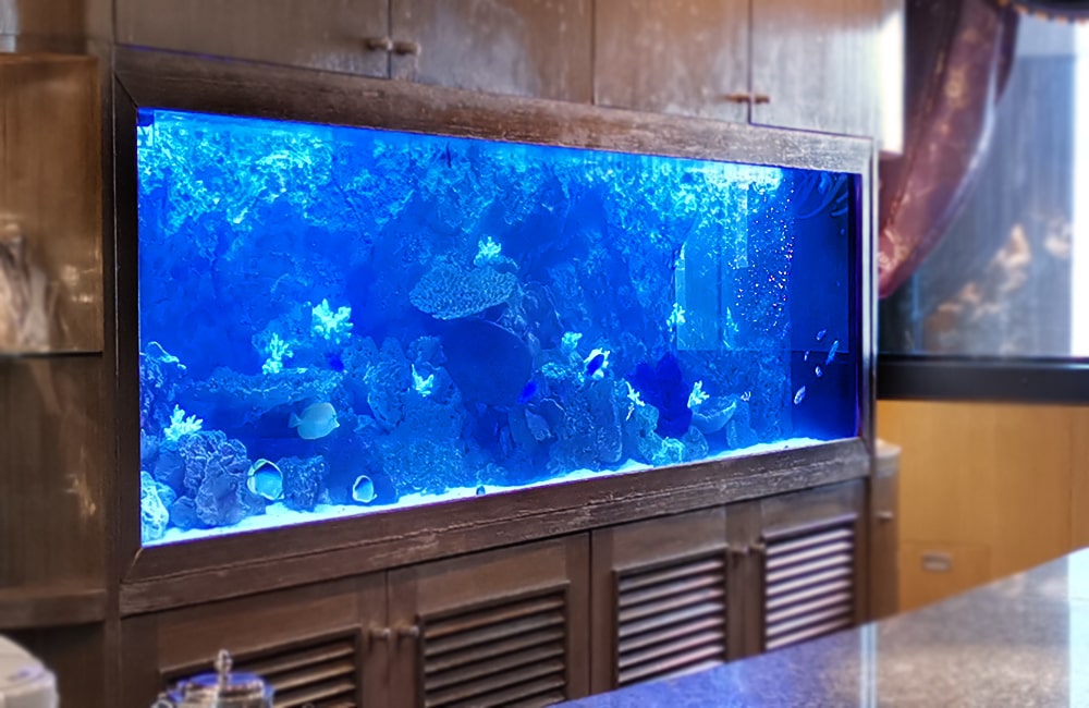 青い照明に照らされた大型の海水魚水槽と木製水槽台
