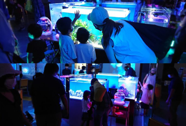 青い照明の水槽を鑑賞する親子連れと展示会場の風景