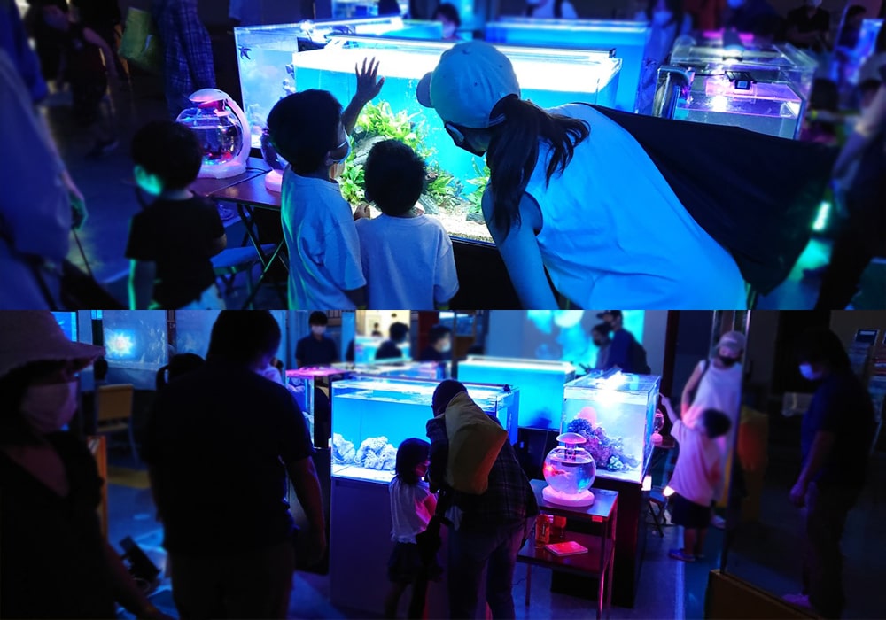 青く光る水槽を鑑賞する親子連れと展示会場の風景