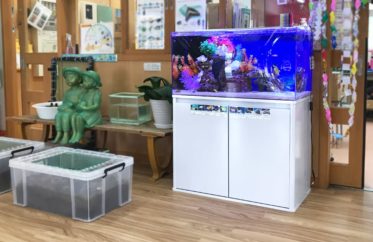 東京アクアガーデン 幼稚園 保育園