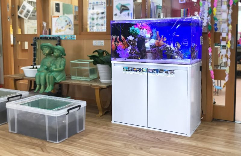 幼児教育施設 90cm海水魚水槽 レンタル事例 水槽画像1