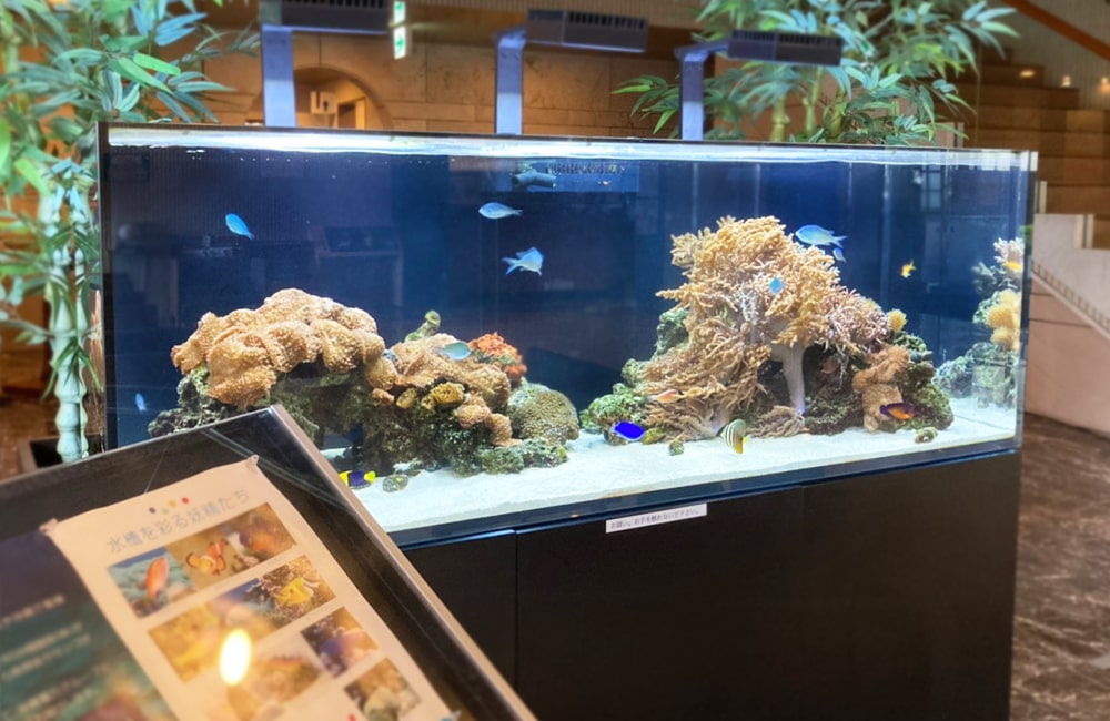 サンゴと海水魚が泳ぐ大型の海水魚水槽と案内板