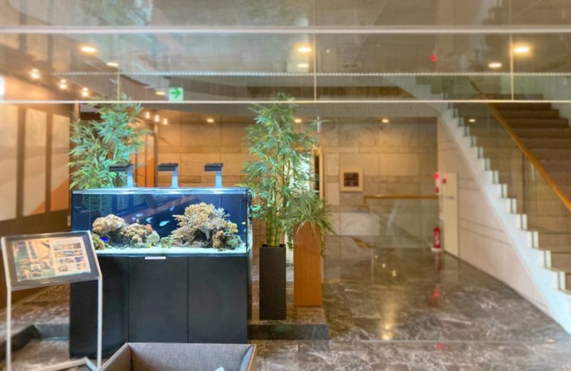 神奈川県藤沢市 オフィス 150cm海水魚水槽 販売・メンテナンス事例 その後 水槽画像5