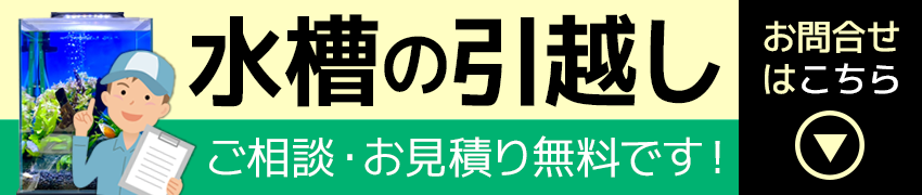 水槽の引越し相談・お見積り無料のバナー画像
