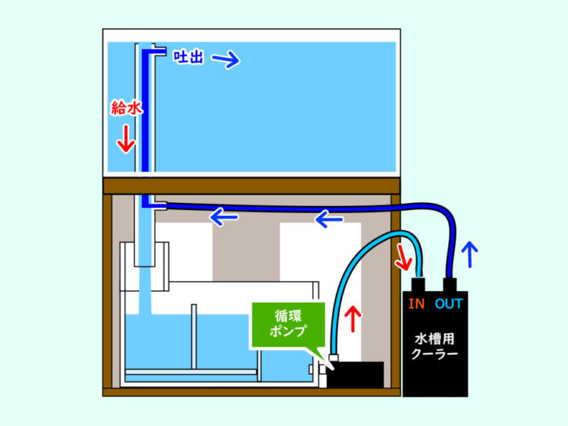 水槽用クーラーと循環ポンプの接続図解イラスト