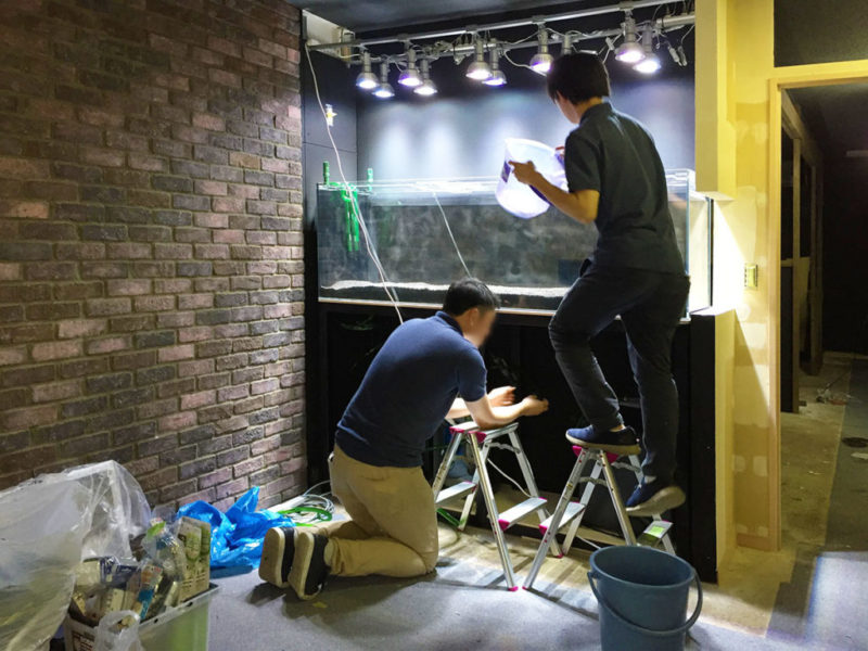 東京アクアガーデン スタッフによる解説