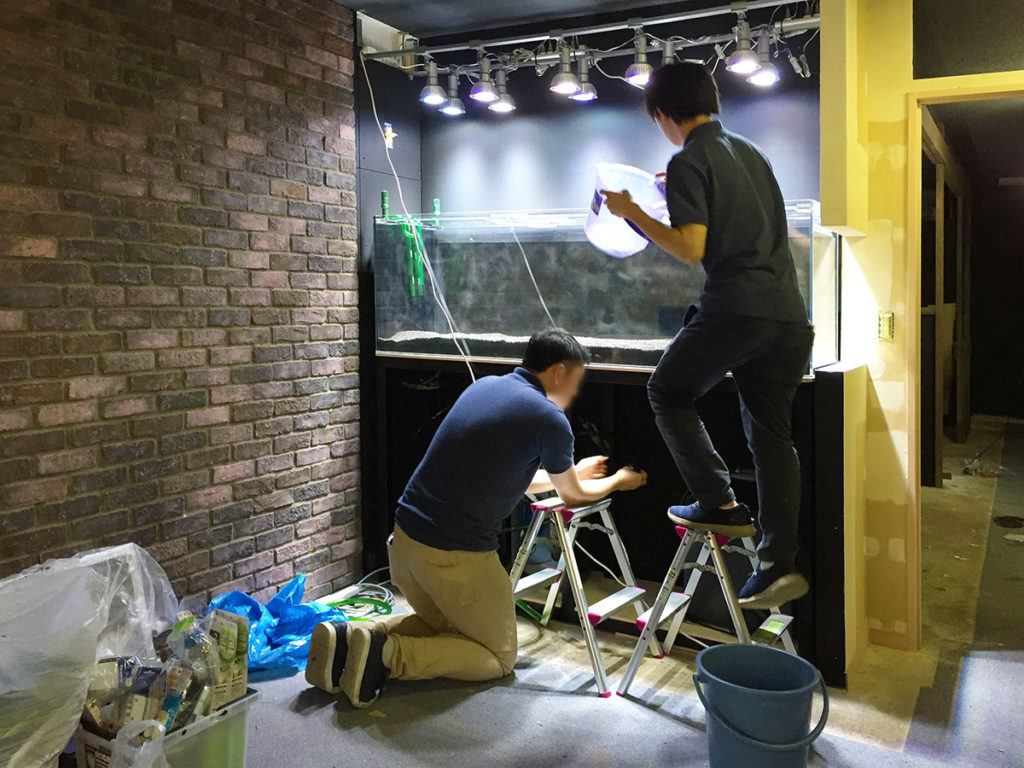 脚立を使い大型水槽を設置する二人の作業スタッフ