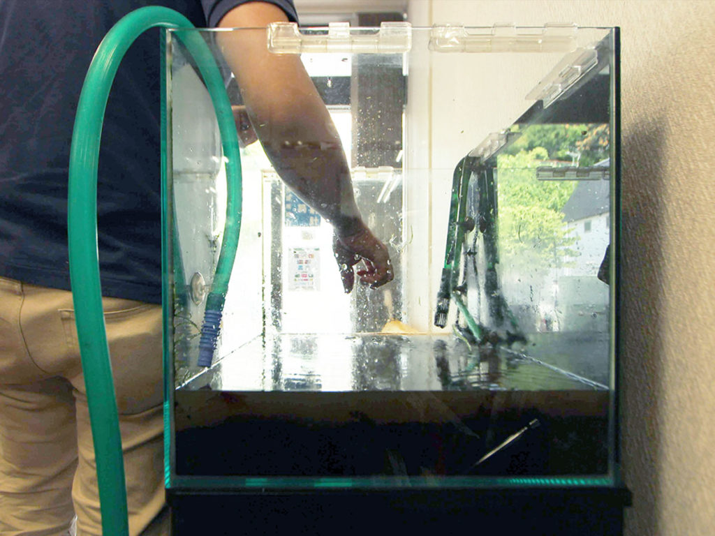 ホースを使い空の水槽へ注水する作業風景