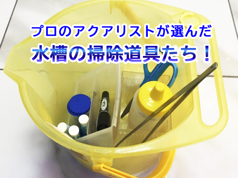 プロが選んだ水槽の掃除道具たちの見出し画像