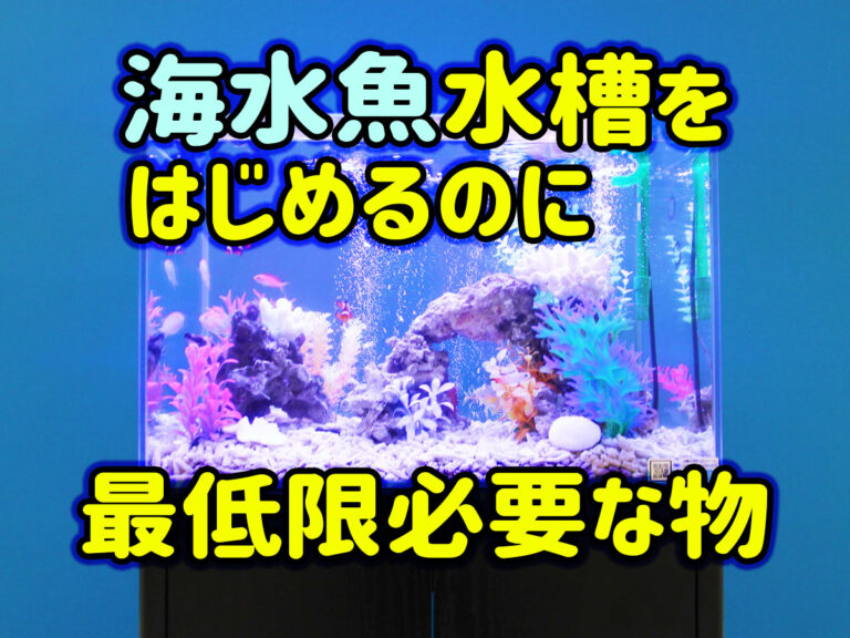 海水魚水槽をはじめるのに最低限必要な物の見出し画像