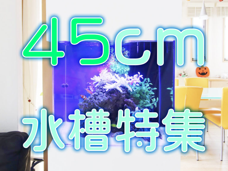 45cm水槽特集の文字とリビングに置かれた海水魚水槽