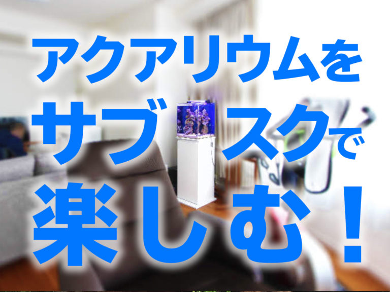 アクアリウムをサブスクで楽しむの見出し画像