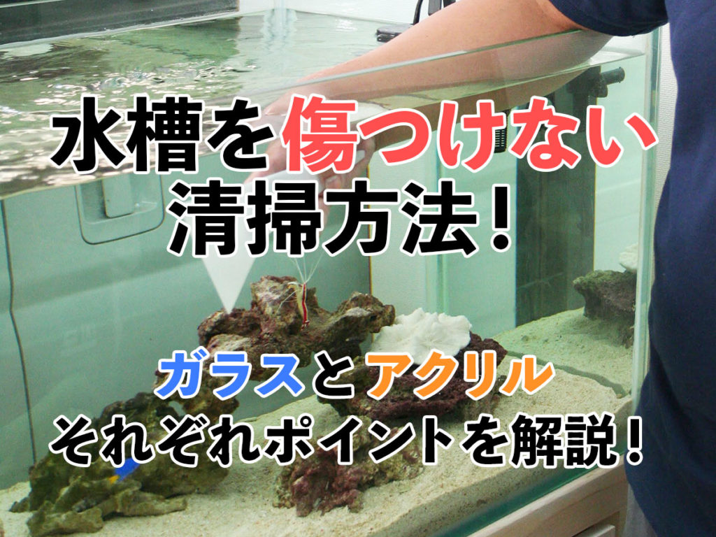 水槽を傷つけない清掃方法！ガラスとアクリルそれぞれのポイントを解説！のサムネイル画像