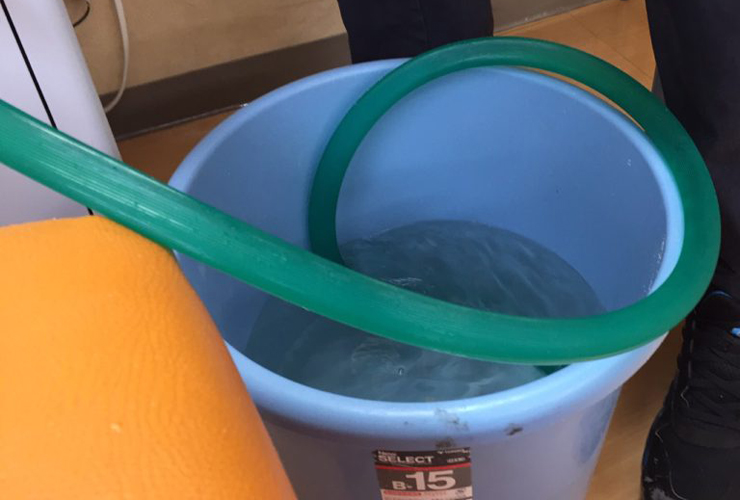 青いバケツに緑色のホースで水を入れる様子