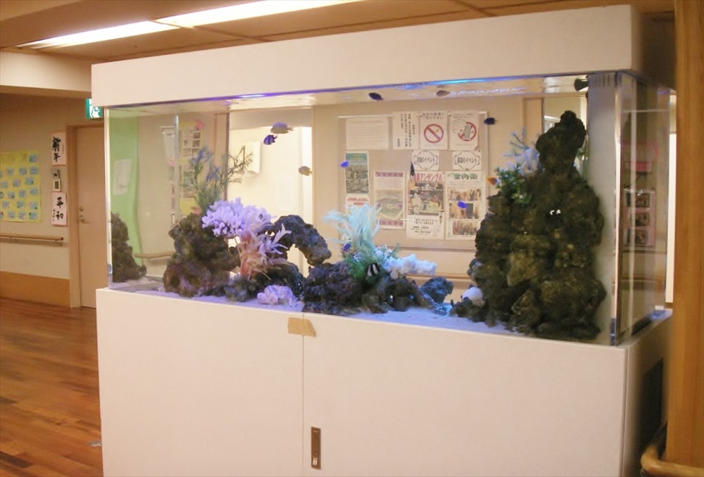 施設内に設置された大型の海水魚水槽と白い水槽台