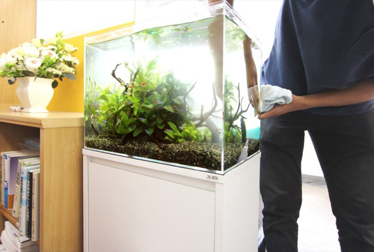 布で水槽のガラス面を拭くスタッフと水草水槽の全景