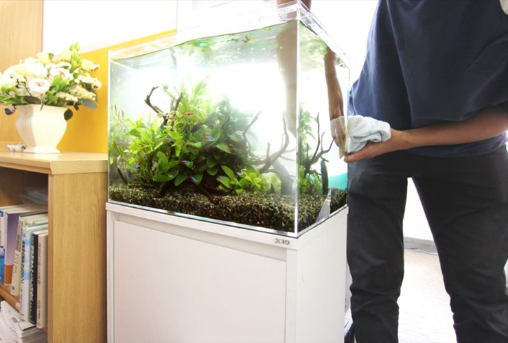 布で水槽のガラス面を掃除するスタッフの手元