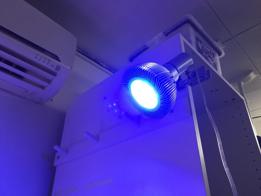 青い光を放つ水槽用スポットLEDライトと白い棚