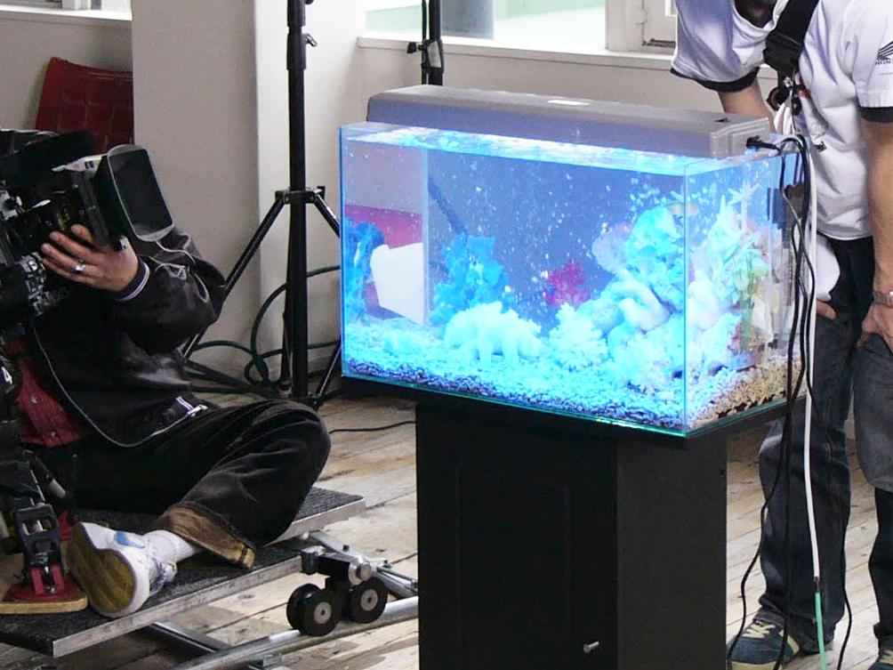 カメラで撮影される青い照明の熱帯魚水槽