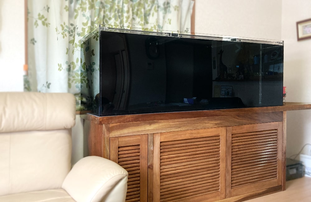 木製キャビネットに設置された黒バックの大型水槽