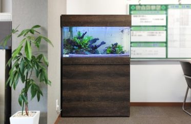愛知県名古屋市 オフィス　90cm淡水魚水槽 レンタル事例