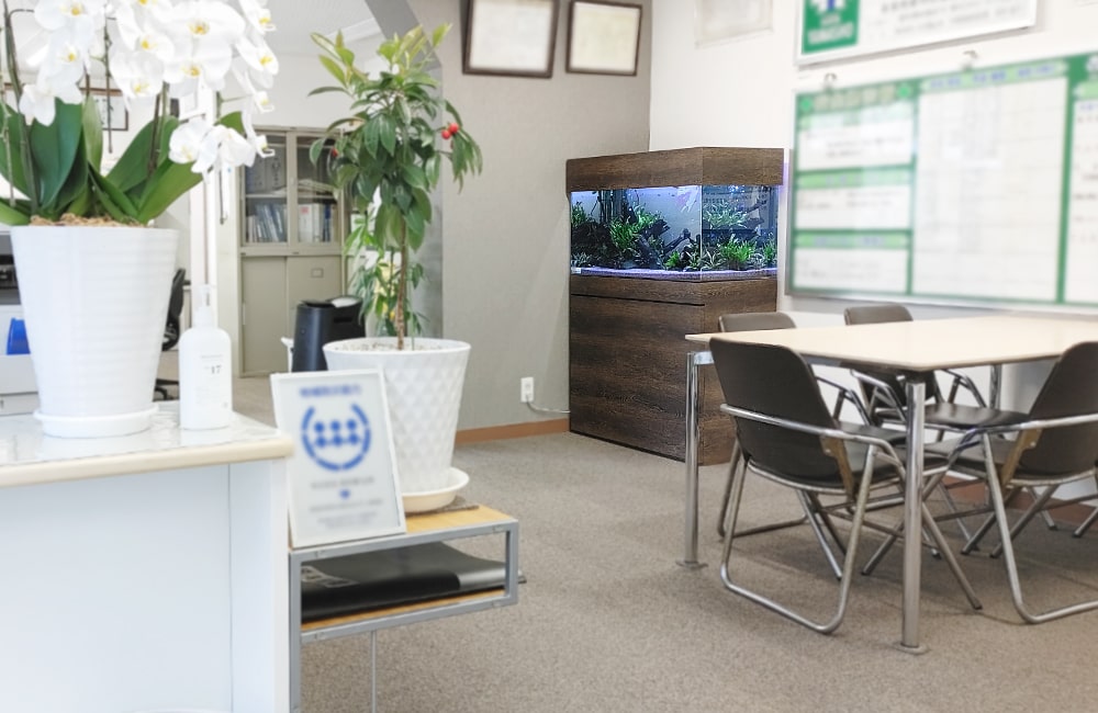 オフィスに設置された大型水槽と観葉植物のある会議スペース