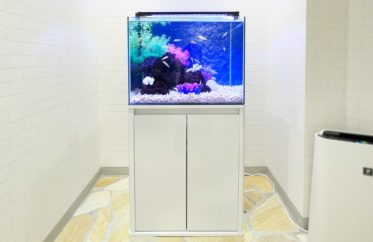 法律事務所様 60cm 淡水魚水槽レンタル事例