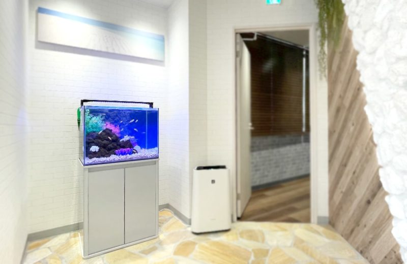 法律事務所様 60cm 淡水魚水槽レンタル事例 水槽画像4