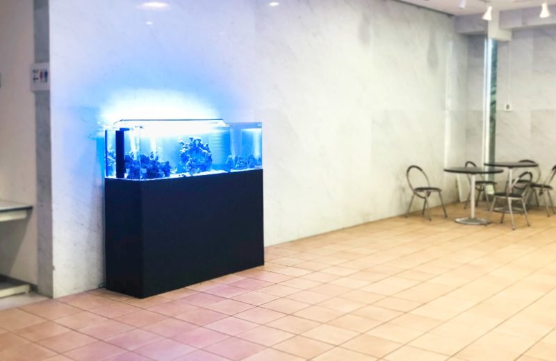 愛知県 人間環境大学様 150cm海水魚水槽 レンタル事例 水槽画像４