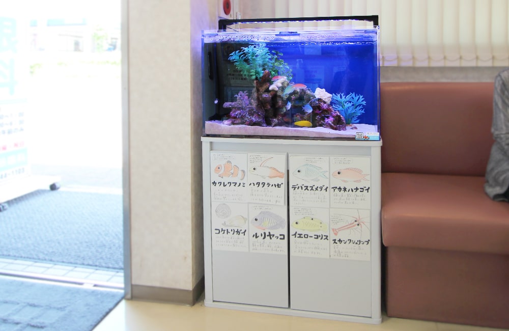 魚の紹介イラストが貼られた台に置かれた海水魚水槽