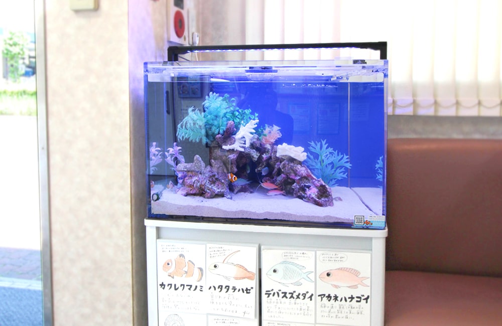文京区 眼科 60cm海水魚水槽レンタル事例 その後の様子のサムネイル画像