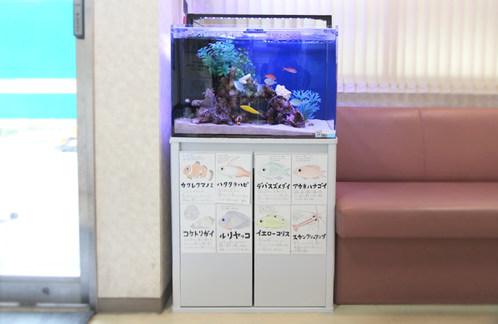 魚の紹介パネルが貼られた水槽台と海水魚水槽
