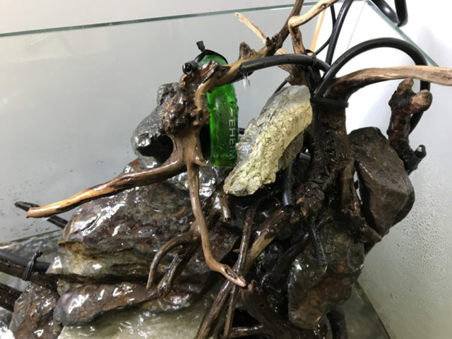 流木と石を組み上げたアクアテラリウムの土台構成