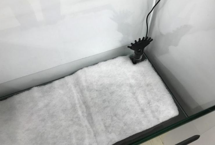 水槽の底に敷かれた白いウールマットと投げ込み式フィルター