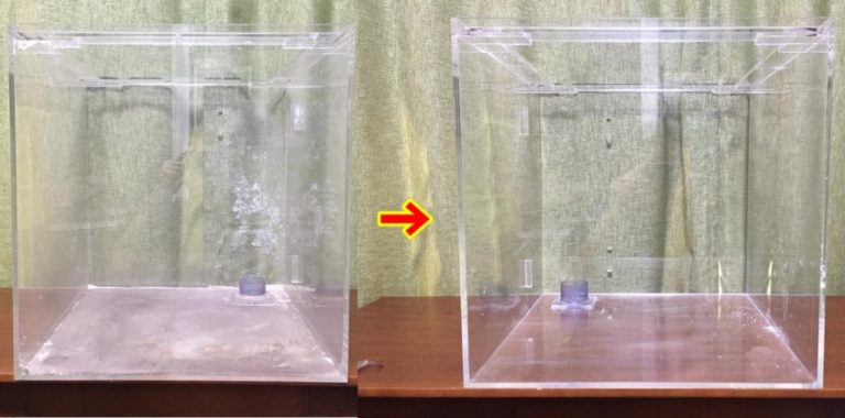 汚れが落ちて綺麗になったアクリル水槽の比較画像