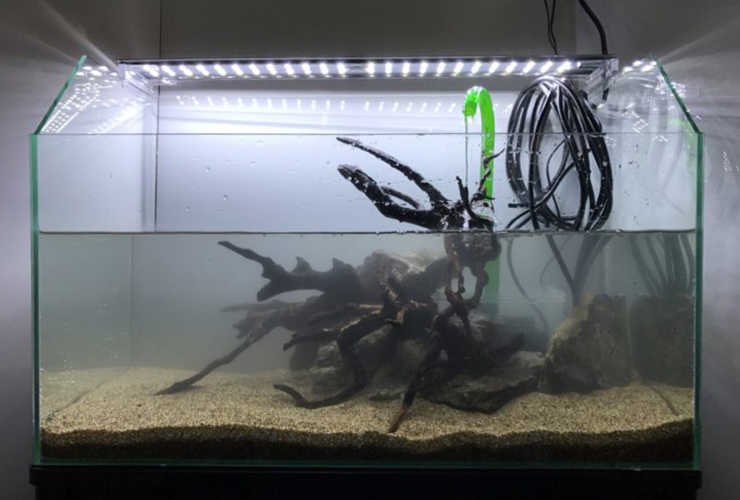 流木と石を配置した砂底のセットアップ中水槽