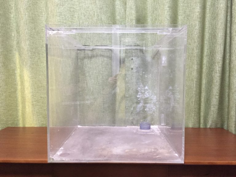 木製台に置かれた空のアクリル製オーバーフロー水槽