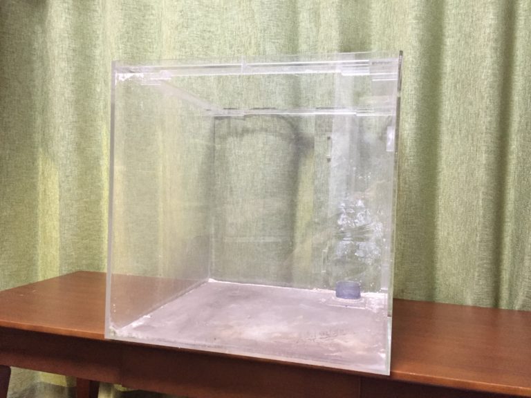 木製台に置かれた空のアクリル製オーバーフロー水槽