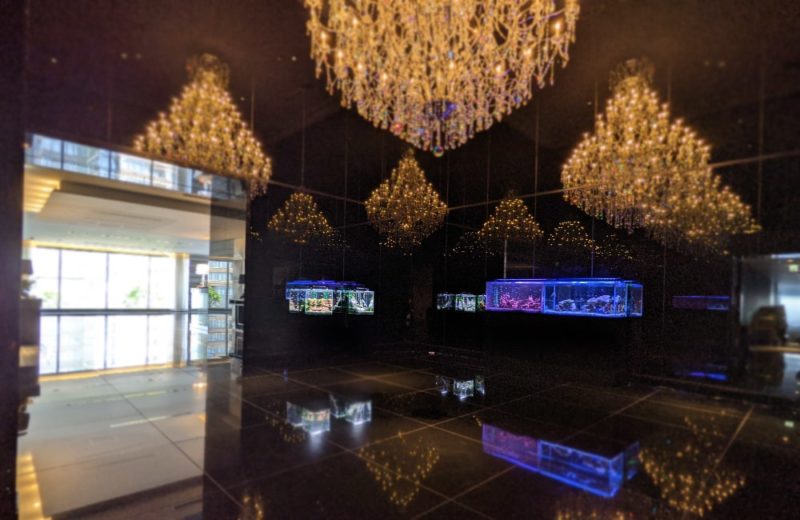 個人宅 マンションエントランスに水槽6台を短期レンタル　水槽レンタル事例 水槽画像３