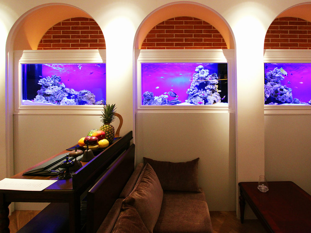 飲食店に水槽を設置する理由とメリット！熱帯魚水槽から活魚水槽まで解説しますのサムネイル画像