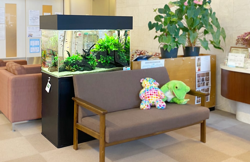 福祉施設様 90cm淡水魚水槽 販売・メンテナンス事例のサムネイル画像