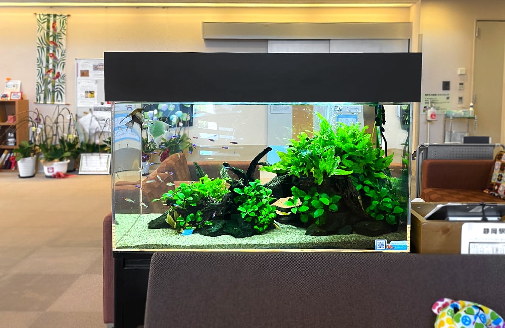 90cm水槽 正面アップ