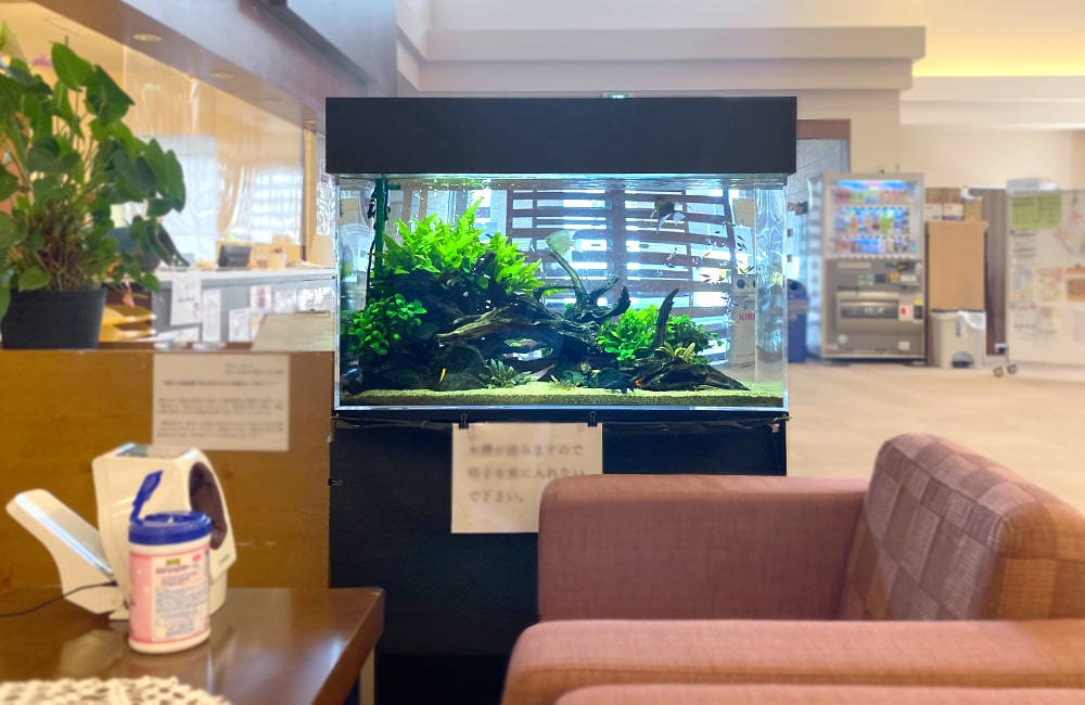 90cm水槽 淡水魚水槽 正面