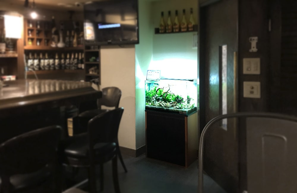 薄暗いバーの店内に設置された水草水槽と黒い椅子