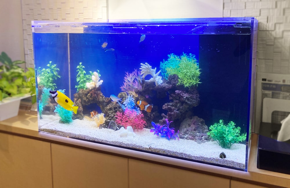 青い照明の海水魚水槽と泳ぐ黄色い魚やクマノミの仲間