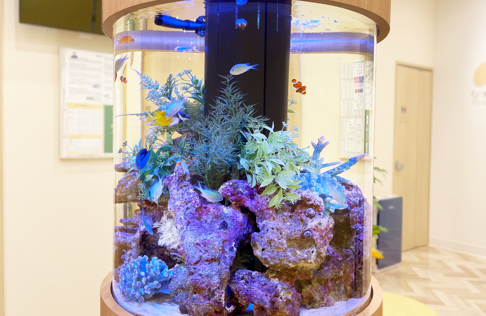 ひっぽこどもアレルギークリニック様　円柱 海水魚水槽販売・メンテナンス事例