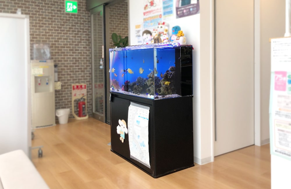 待合室に設置された海水魚が泳ぐ大型水槽の設置例